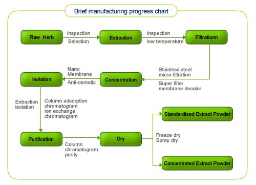 Process Chart